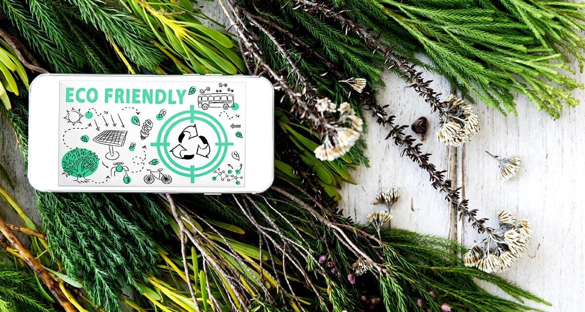 Rusza odbiór starych choinek po świętach