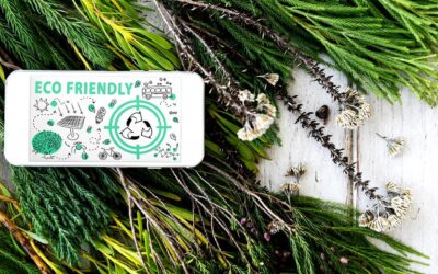 Rusza odbiór starych choinek po świętach