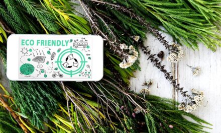 Rusza odbiór starych choinek po świętach